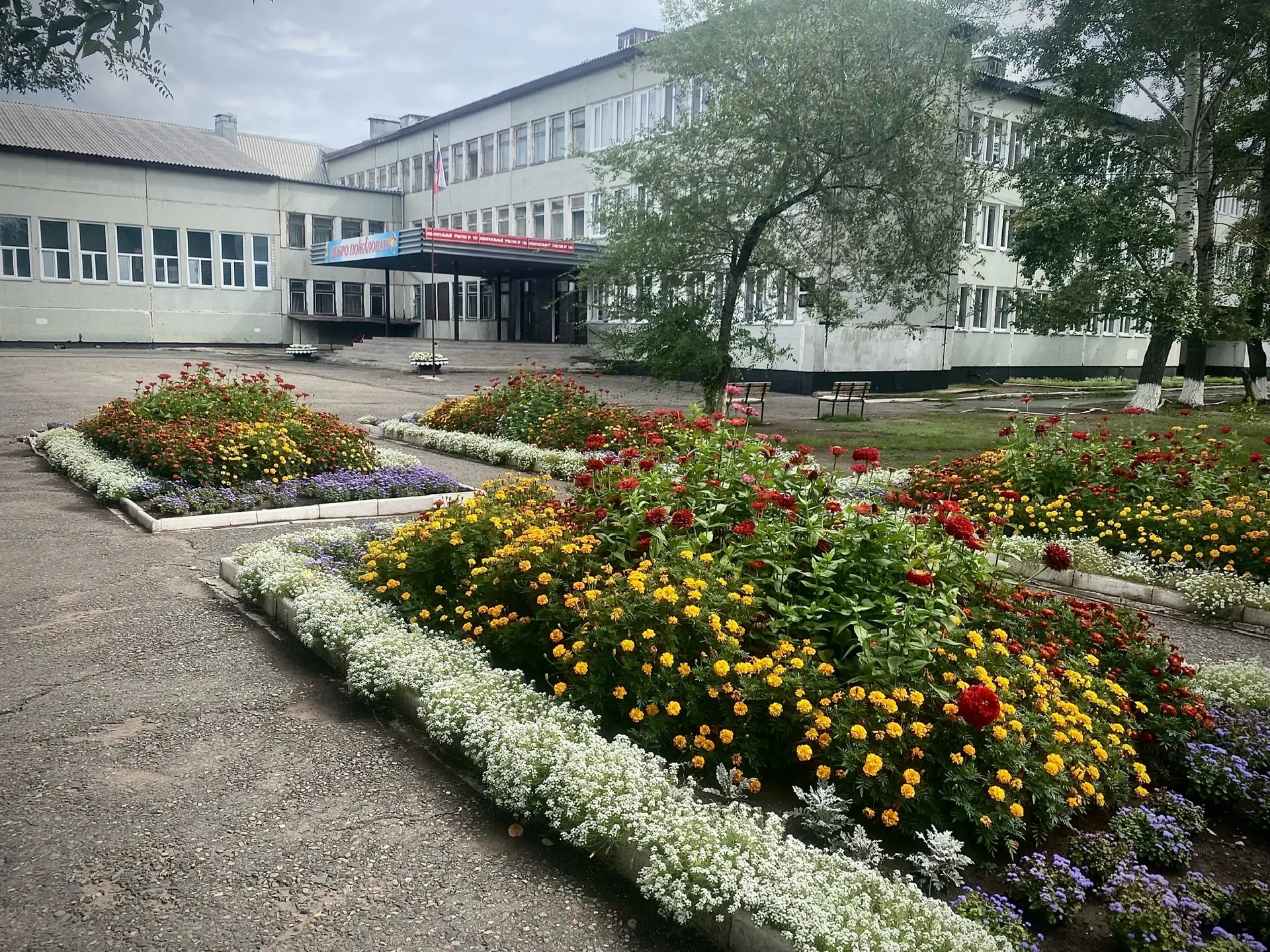 МБОУ «СОШ №20» г.Черногорск