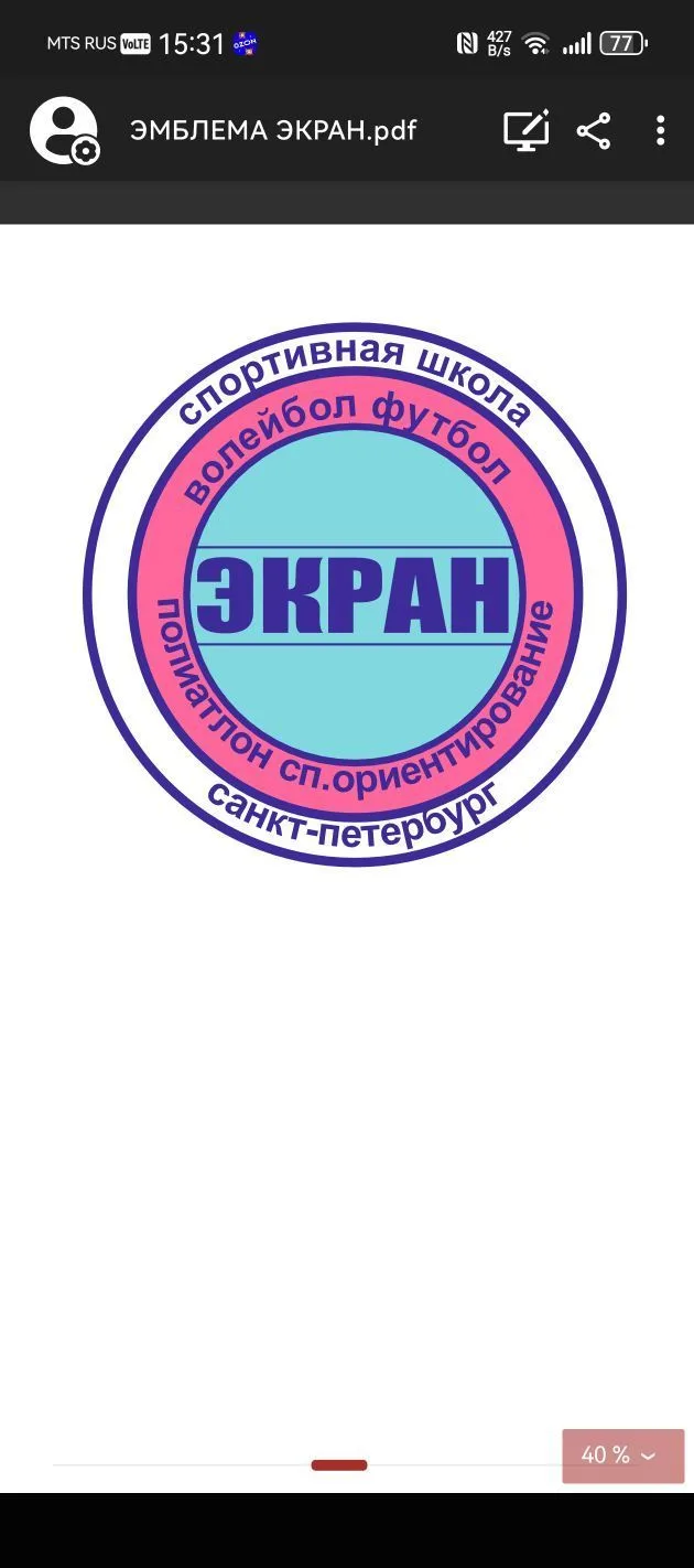 ГБУ ДО СШ "Экран" Выборгского района