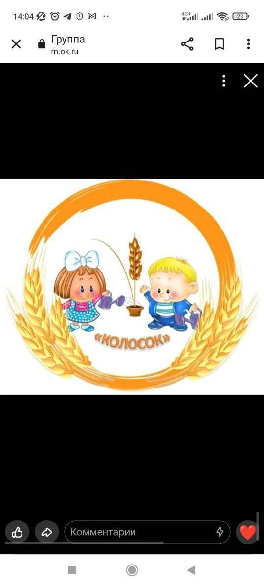 МКДОУ" Д/с № 3 "Колосок"с.Бородиновка