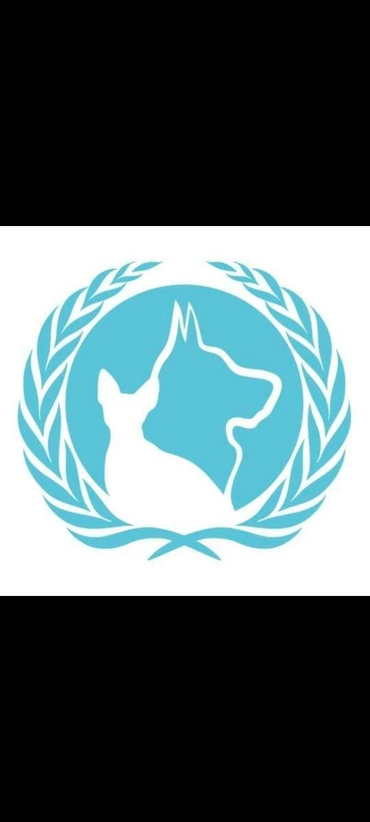 РекС Клиника 🐈‍⬛🦮🐀🦜🐇🐢🦎 — канал в мессенджере MAX