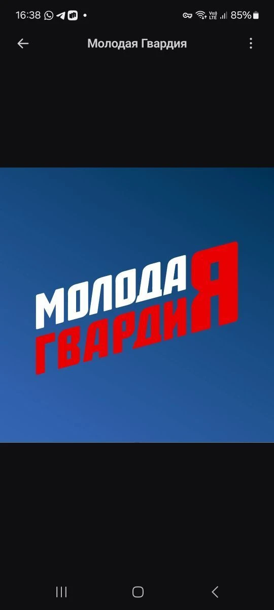 Молодая Гвардия ЕР Долинск — канал в мессенджере MAX