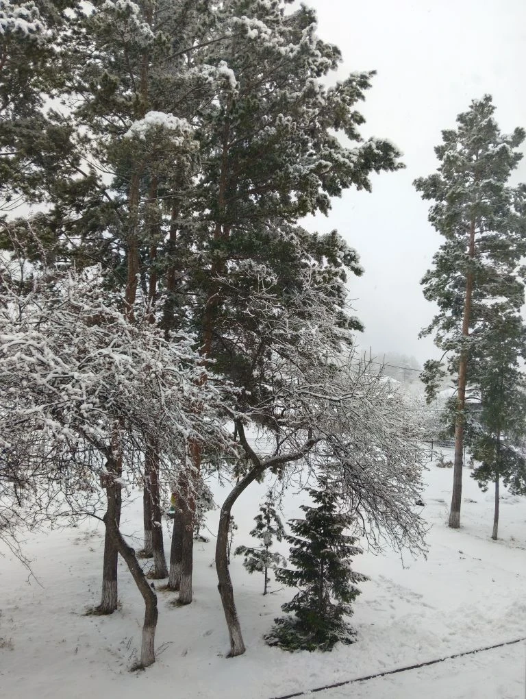 "Березиковская средняя школа"