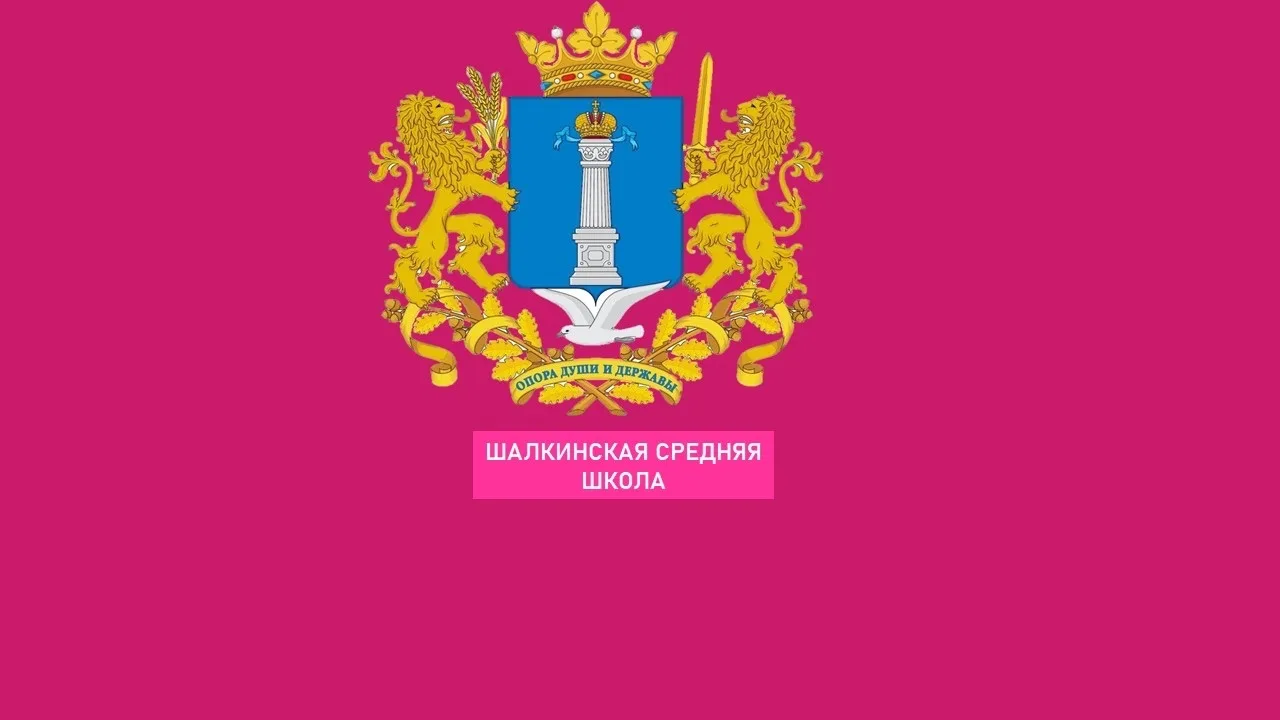 МОУ Шалкинская средняя школа