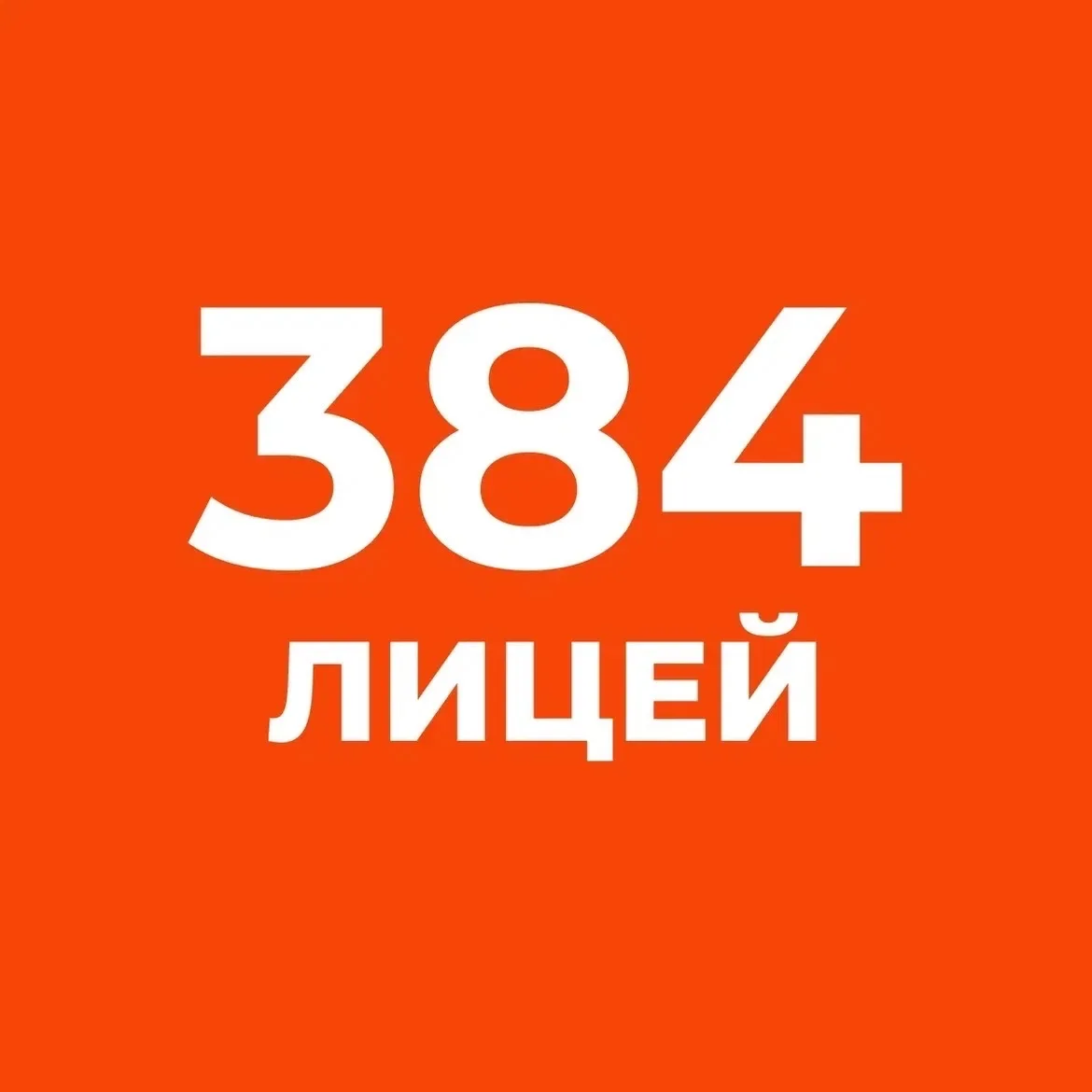 ГБОУ Лицей 384 Кировского района Санкт-Петербурга — канал в мессенджере MAX