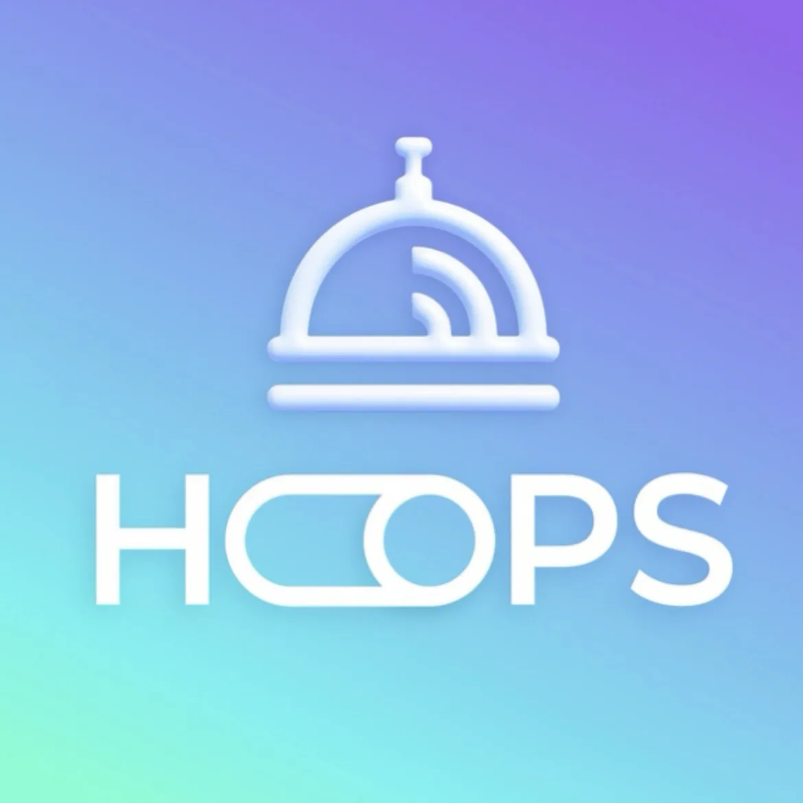 HOOPS Service | оказание услуг