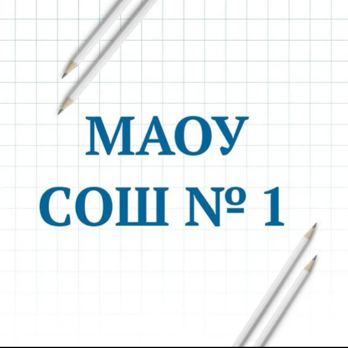 МАОУ СОШ №1 г.Ишима — канал в мессенджере MAX