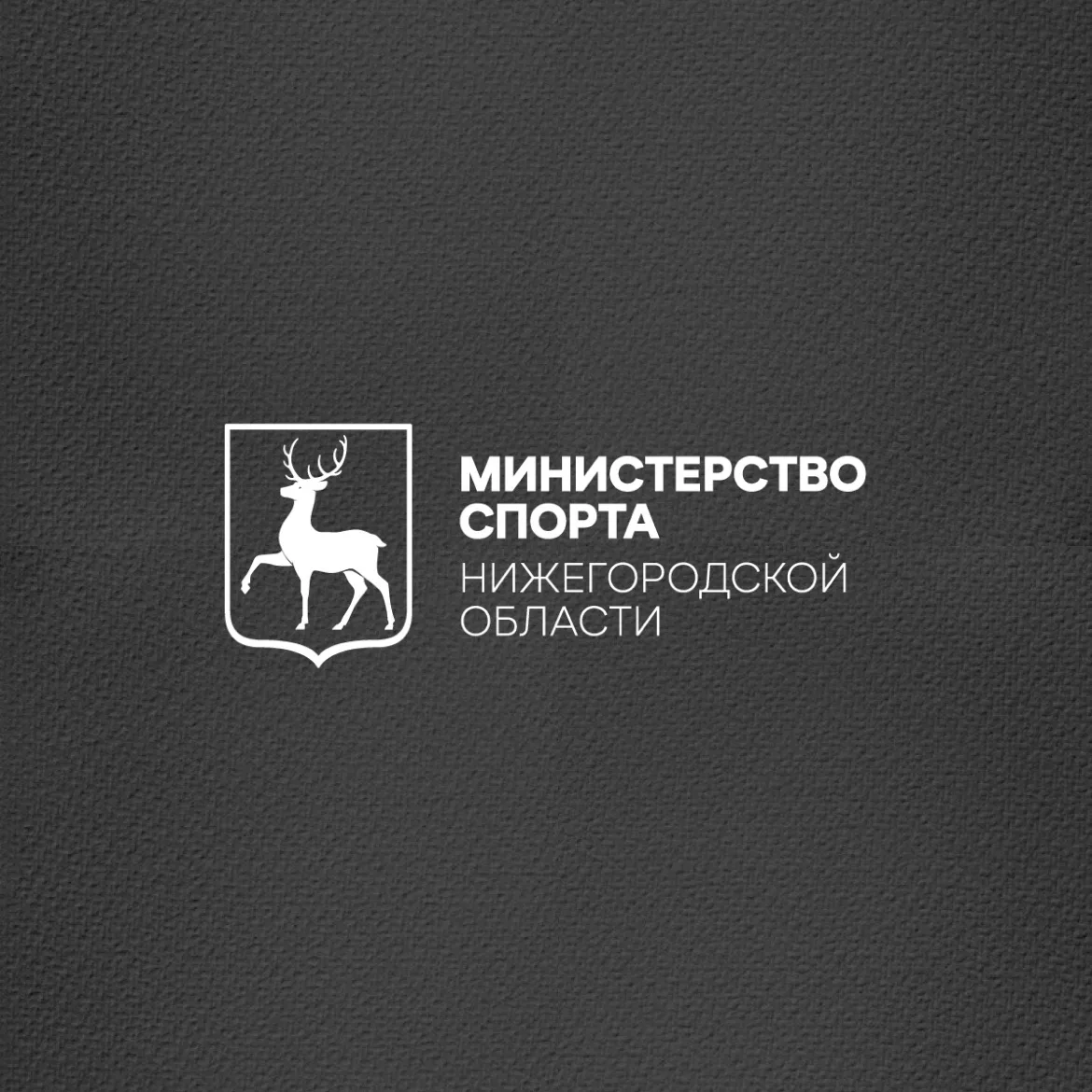 Министерство спорта Нижегородской области — канал в мессенджере MAX