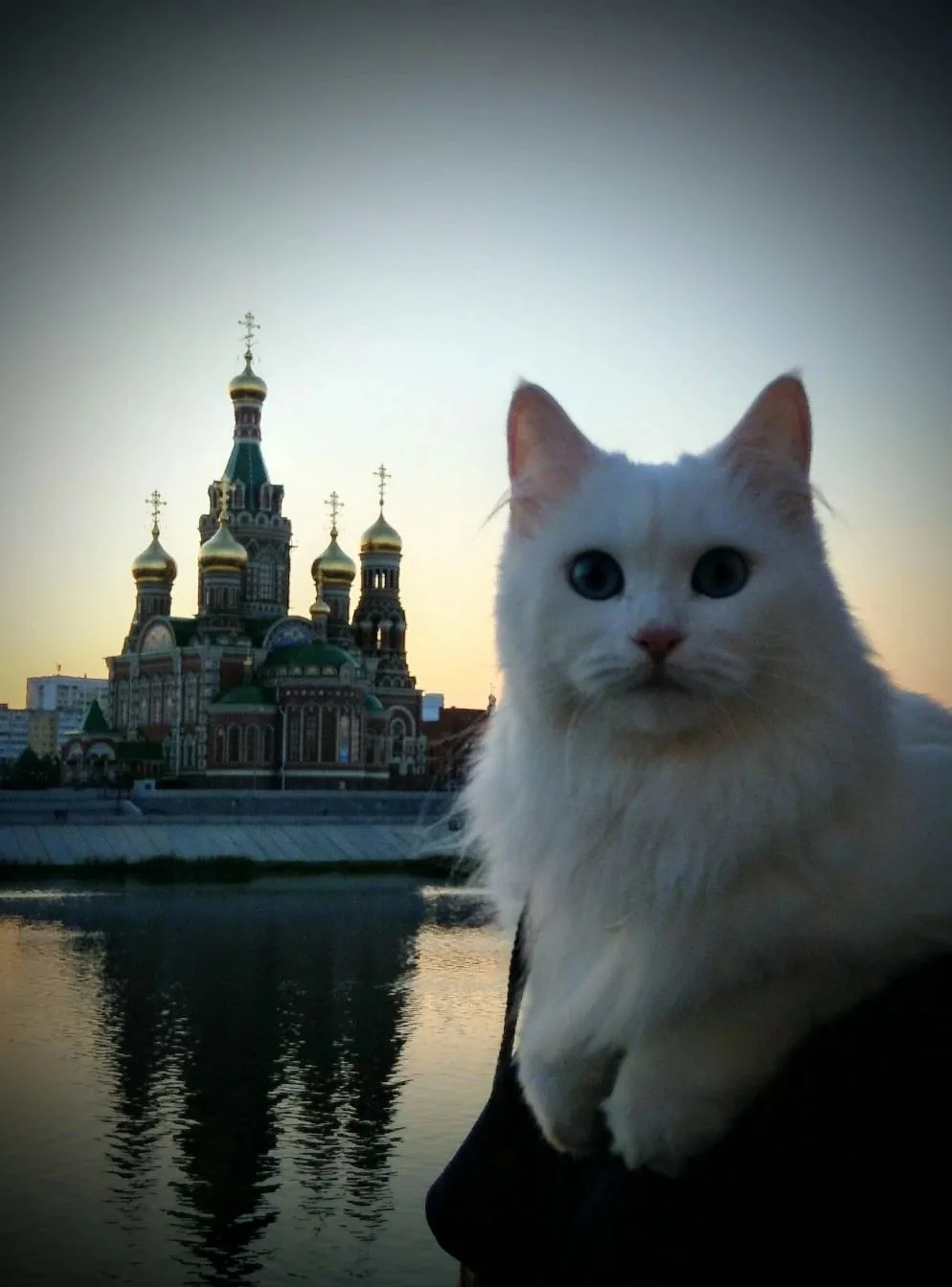 НОВОСТИ ЙОШКАР-ОЛА МАРИЙ ЭЛ — канал в мессенджере MAX