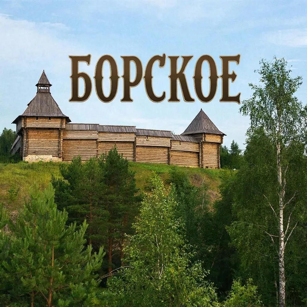 Администрация сельского поселения Борское Самарской области — канал в мессенджере MAX