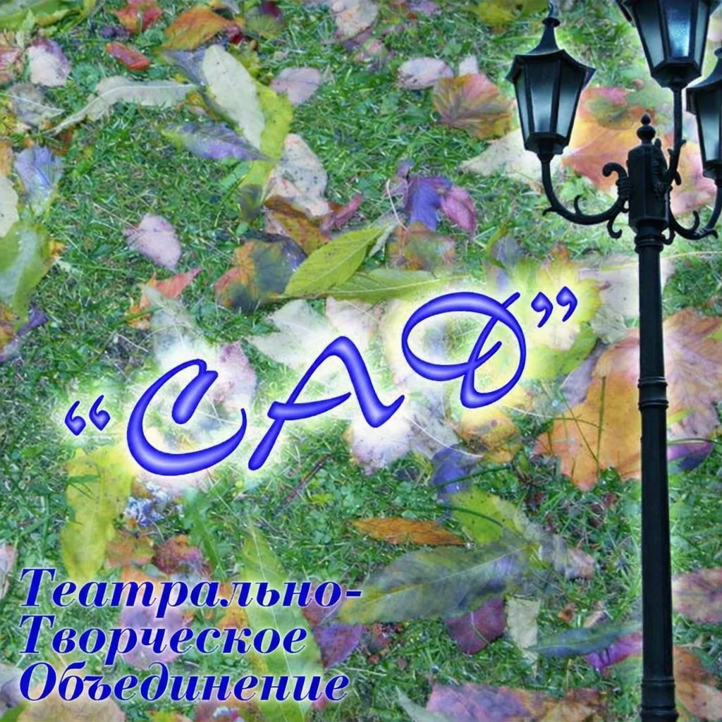 Театрально-творческое объединение "САД" г.о.Похвистнево Самарской области