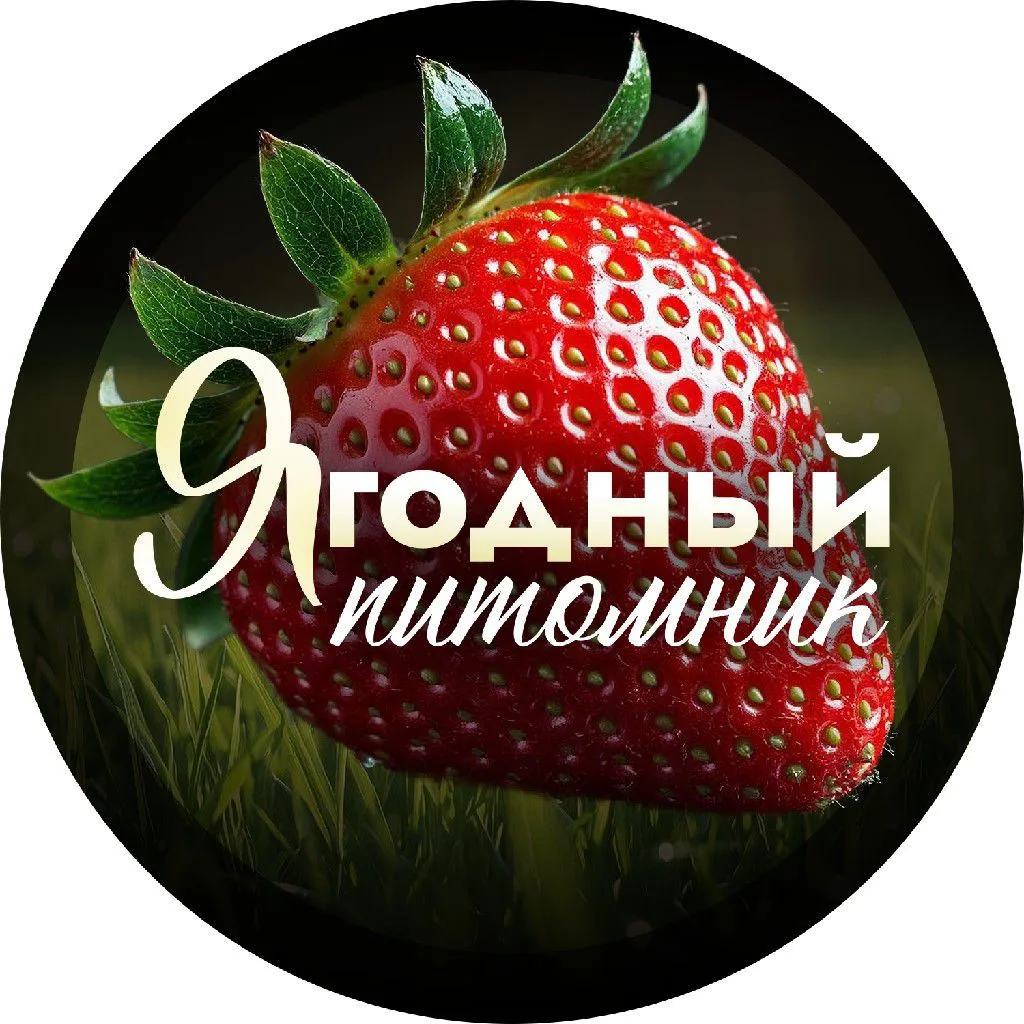 Ягодный питомник — канал в мессенджере MAX
