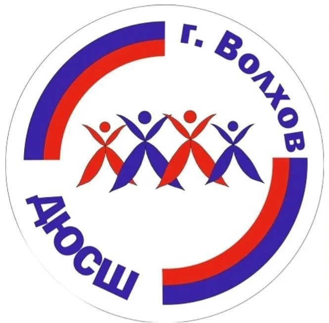 ДЮСШ г.Волхов — канал в мессенджере MAX