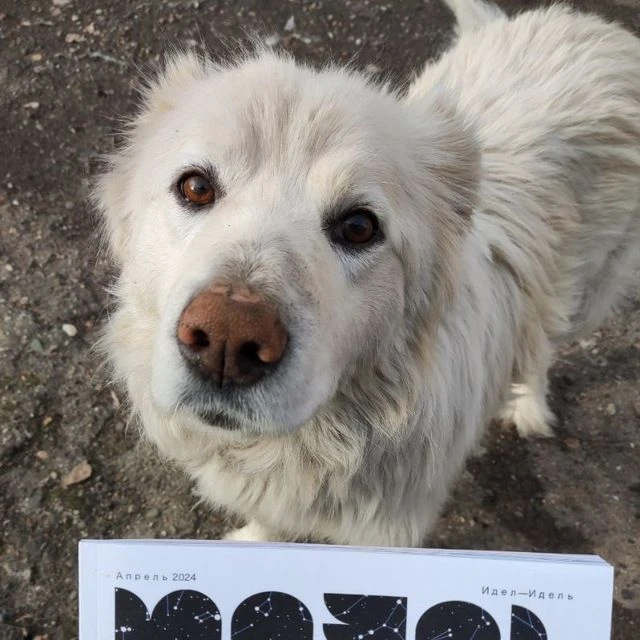 Просто препод Гаязова Эльвира