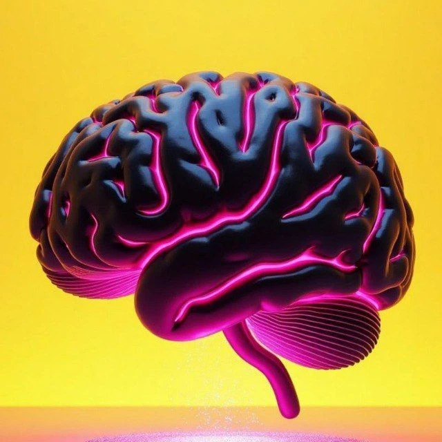 НейроИгры и НейроУпражнения. Нейропсихология