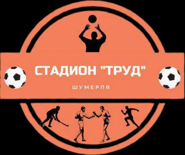 МАОУ ДО "СШ" г. Шумерля — канал в мессенджере MAX