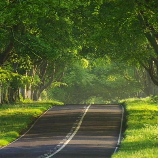 Путешествие и доступность