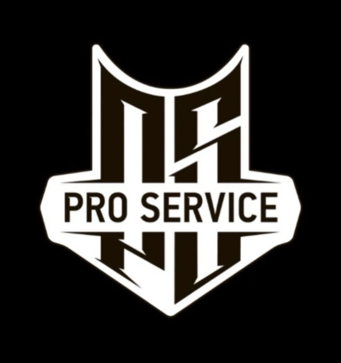 Тюнинг ателье Pro-Service