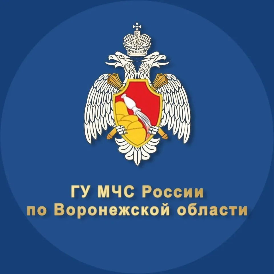 МЧС Воронежской области — канал в мессенджере MAX