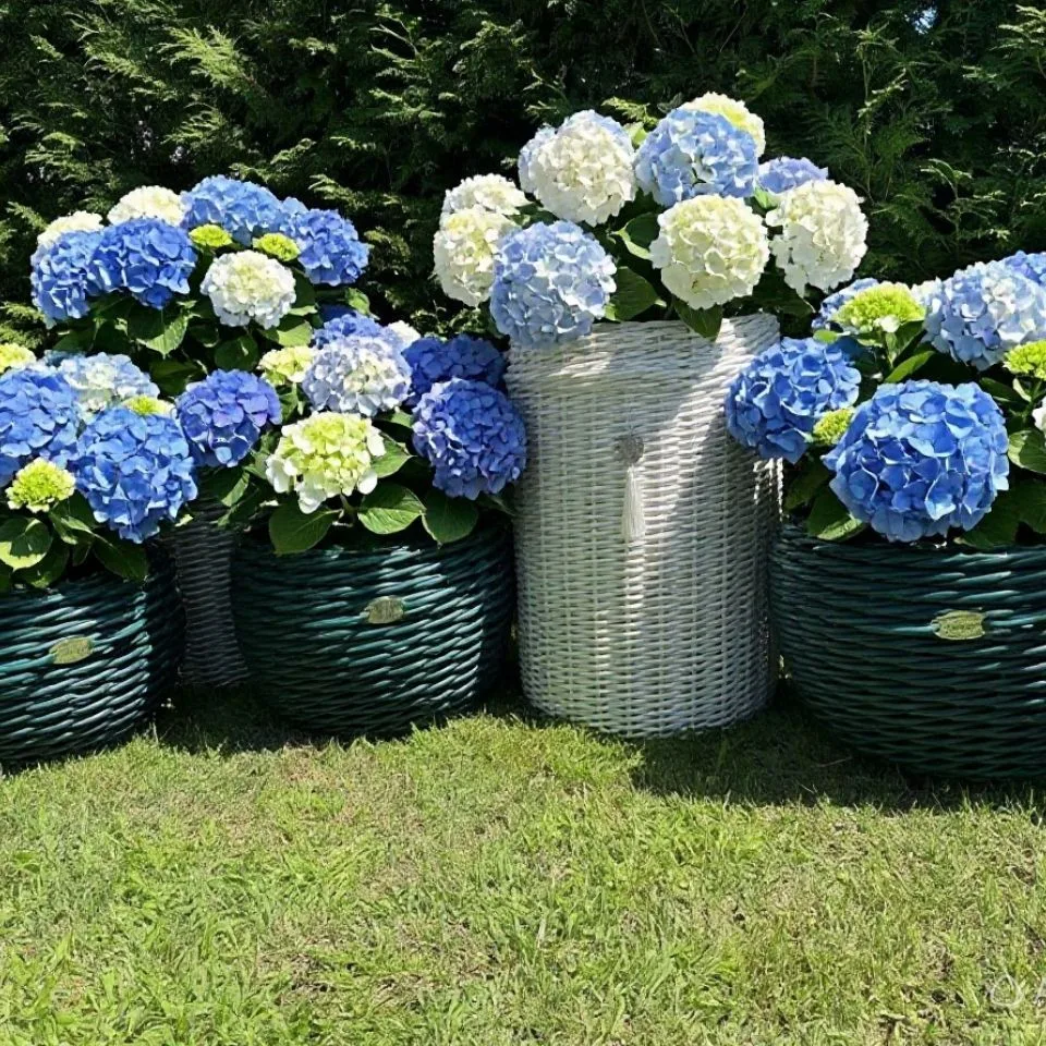 Плету уют - мастерская ротанга🧺🌸 — канал в мессенджере MAX