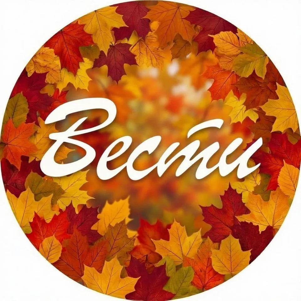 Газета "Вести" Партизанск — канал в мессенджере MAX