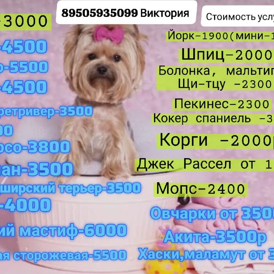 Стрижка собак и кошек.(Груминг)Юрга.