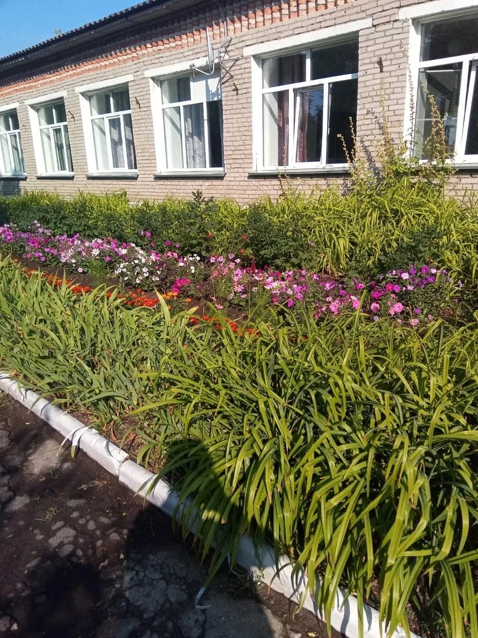 МБОУ Новопокровская СОШ им. Г.Ф. Байдукова