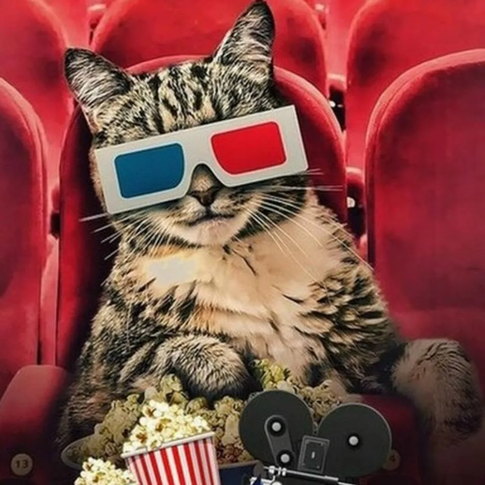 Комедии/Фильмы/Фантастика  (2026) — канал в мессенджере MAX