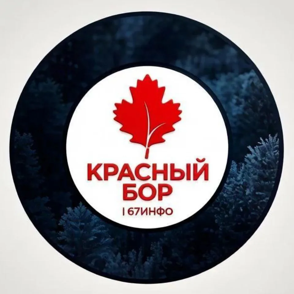 Красный Бор | 67Инфо — канал в мессенджере MAX