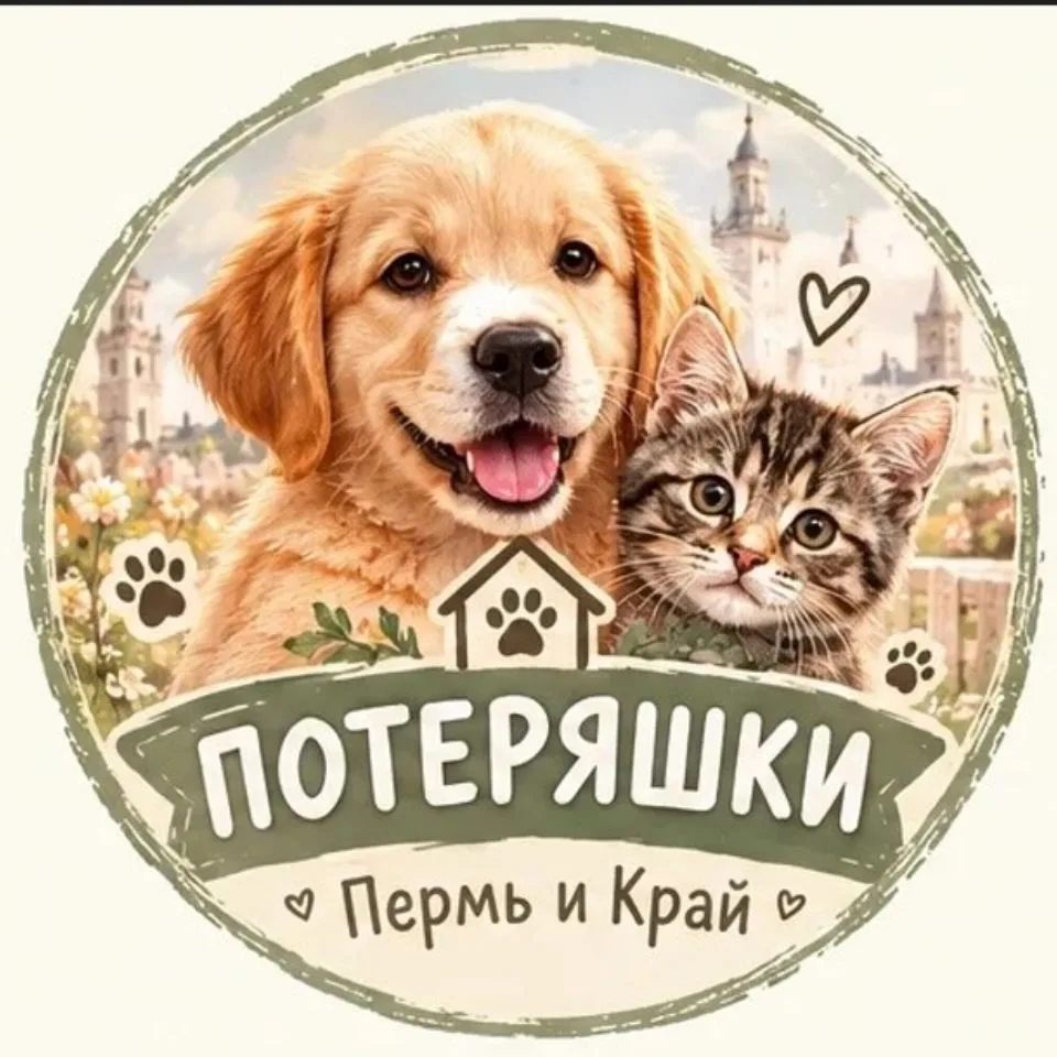 Потеряшки животные Пермь и Край — канал в мессенджере MAX