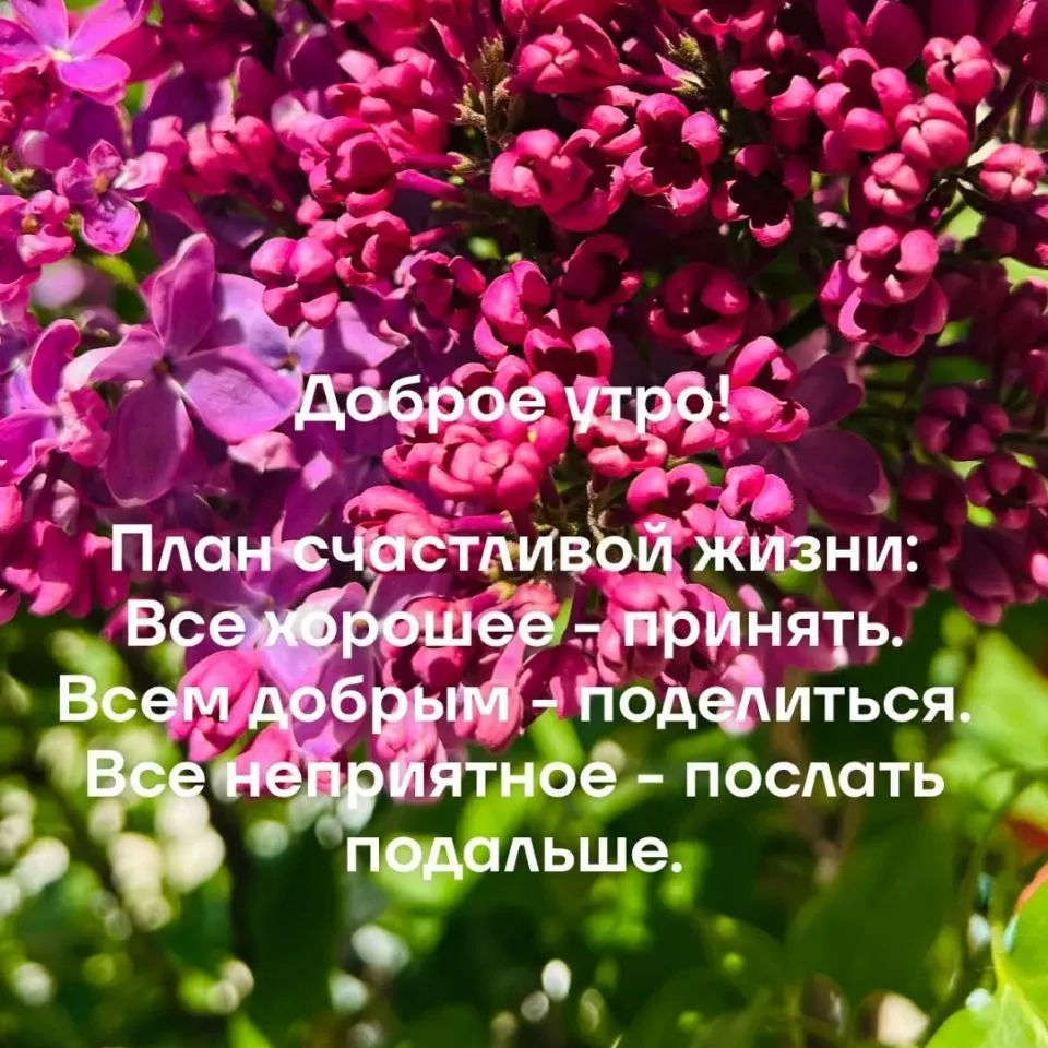 Доброе утро 🌄 — канал в мессенджере MAX