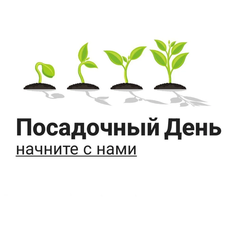 Посадочный День — канал в мессенджере MAX