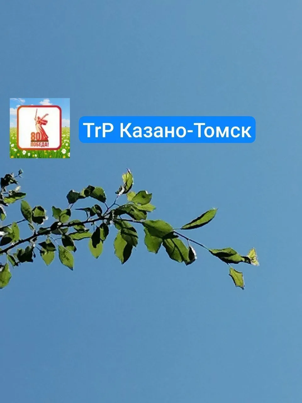 TrP Казано-Томск — канал в мессенджере MAX