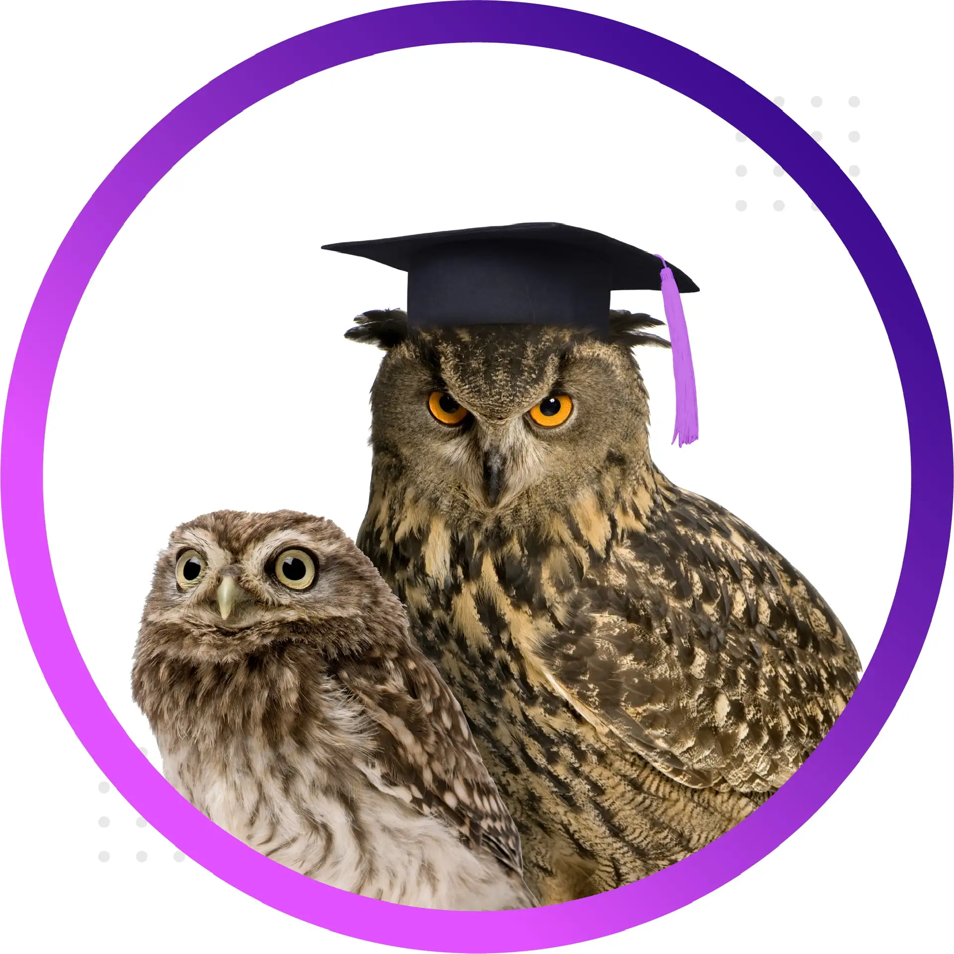 Дневник педагога | начальная школа