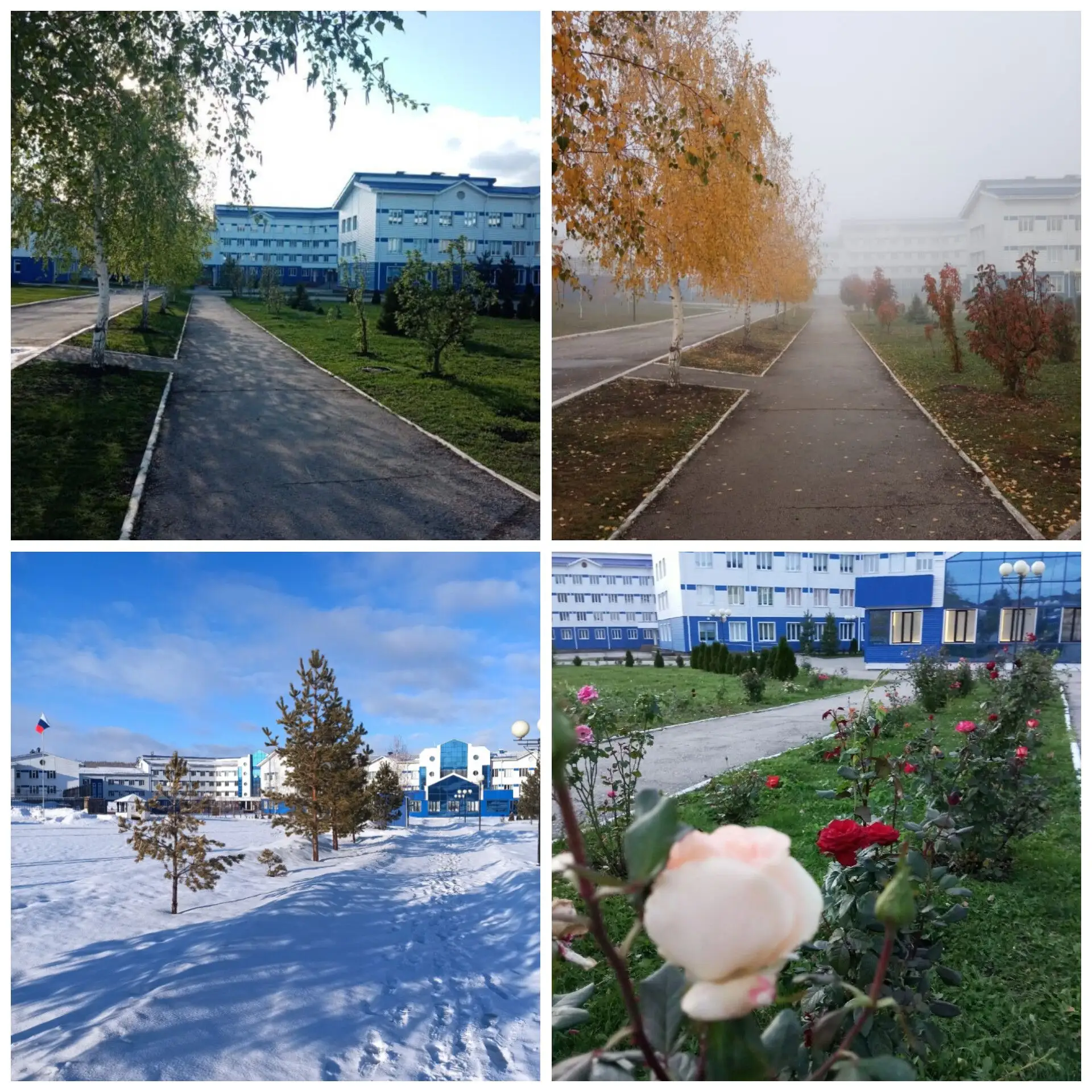 ГБОУ СОШ С.КАМЫШЛА