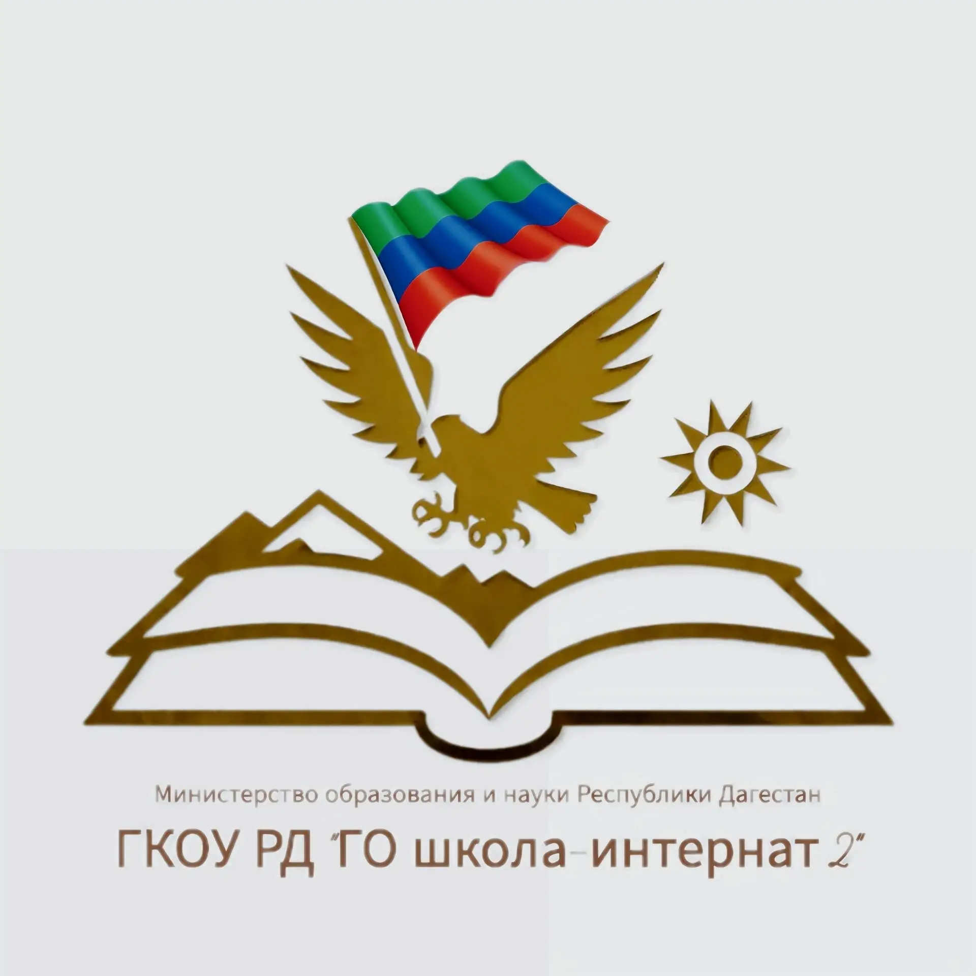 ГКОУ РД "ГО ШИ 2"