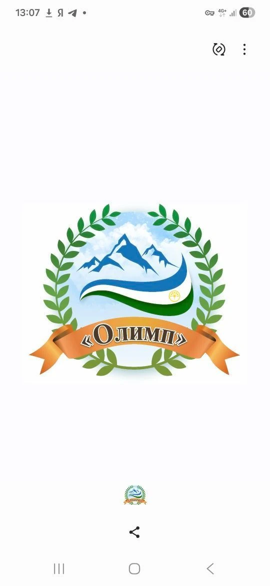МОБУ ЦО "Олимп" с. Михайловка — канал в мессенджере MAX