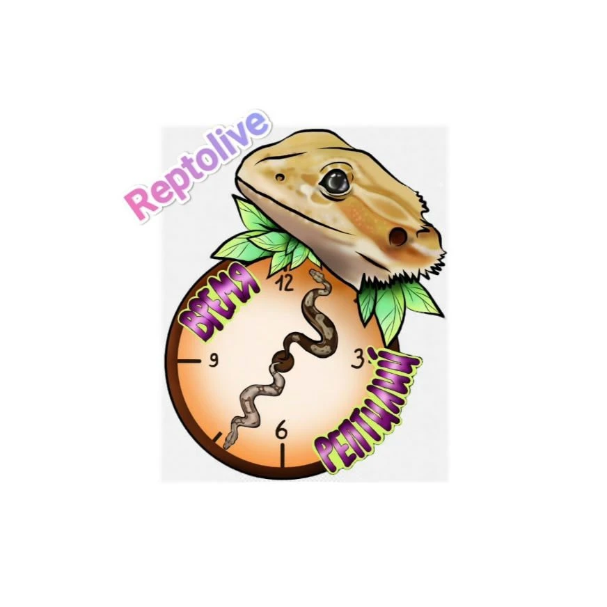 Reptolive | Жизнь рептилий