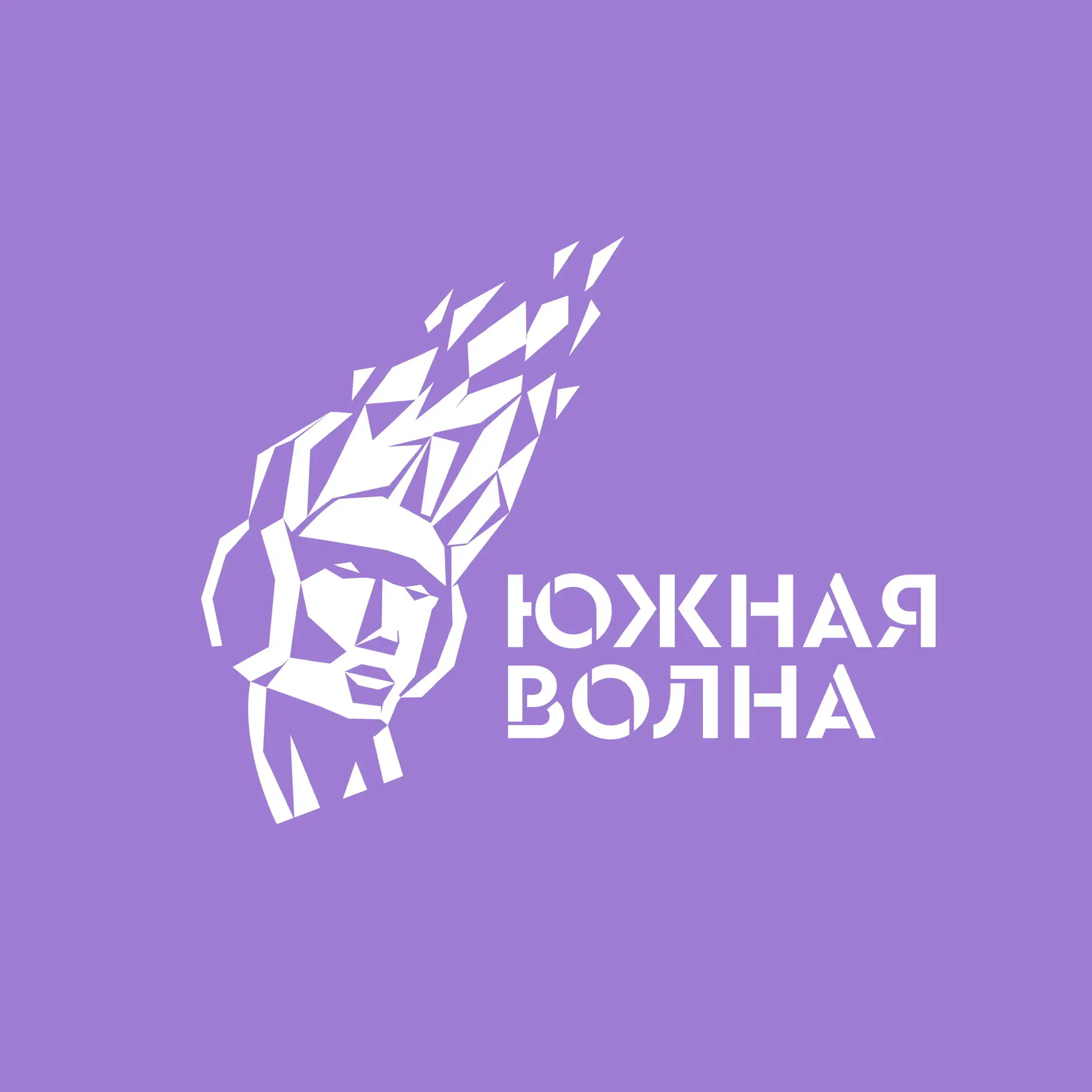 Южная Волна — канал в мессенджере MAX