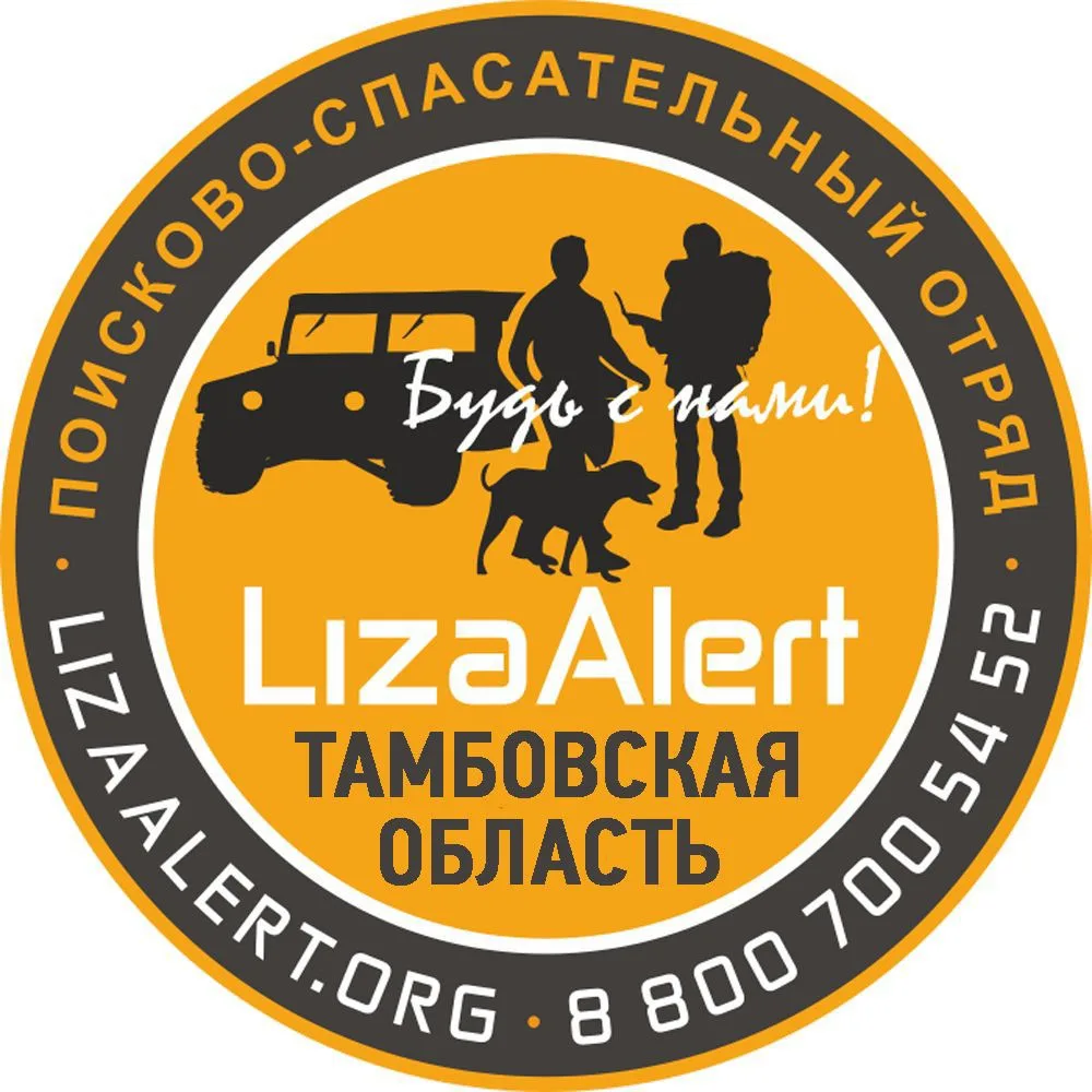 Поисковый отряд "ЛизаАлерт" Тамбовской области — канал в мессенджере MAX