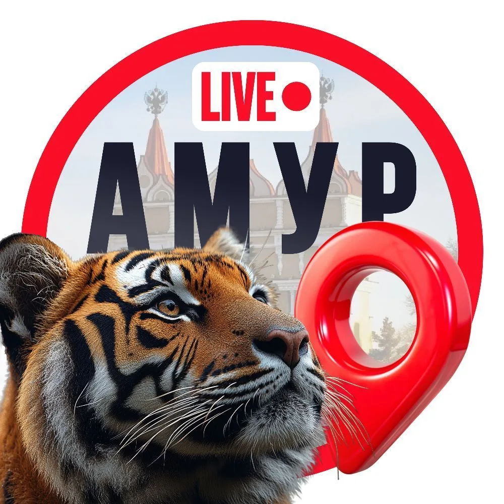Амур LIVE — канал в мессенджере MAX