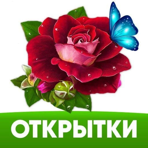 ОТКРЫТКИ НА КАЖДЫЙ ДЕНЬ — канал в мессенджере MAX