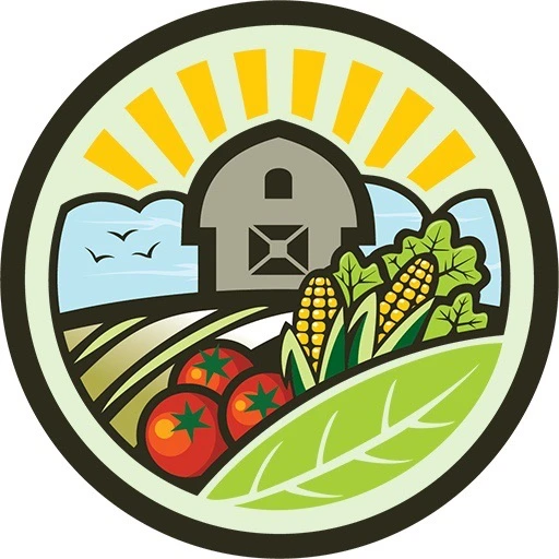 Дачный участок | Огород, Дом, Дача