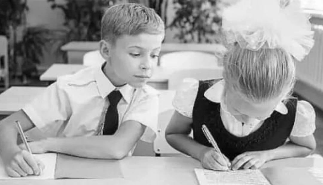 МОУ СОШ с. Салтыково