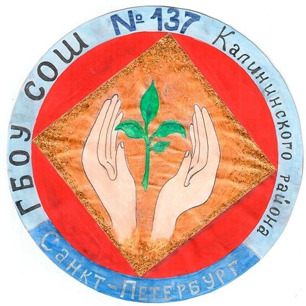 ГБОУ СОШ №137 Калининского района СПб