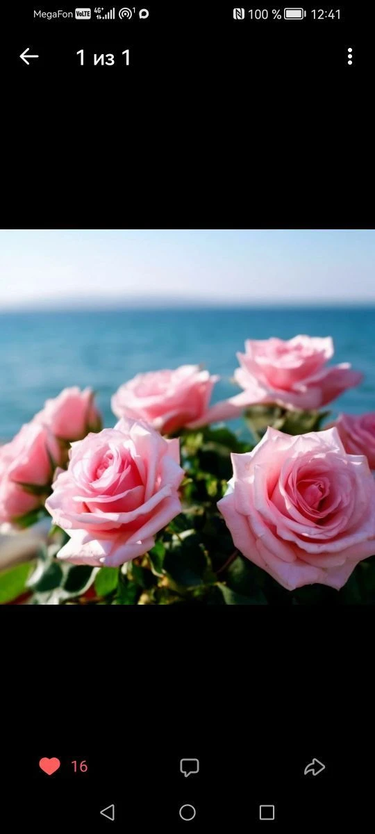 🌺ОТКРЫТКИ НА ЛЮБОЙ ВКУС🌺