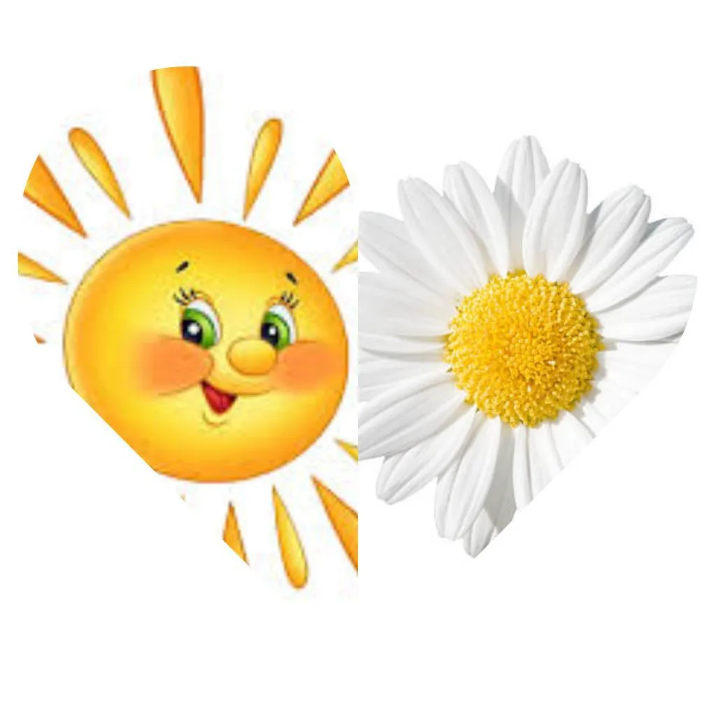 МБДОУ №14, 15.