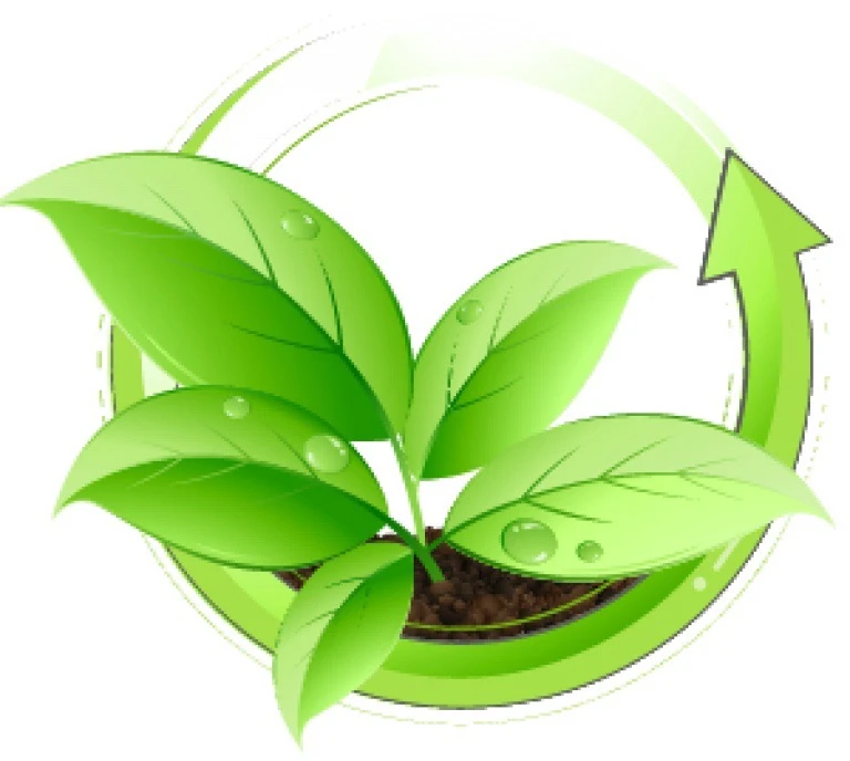 МБОУ Центр "Росток"