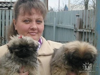 Домик Марио