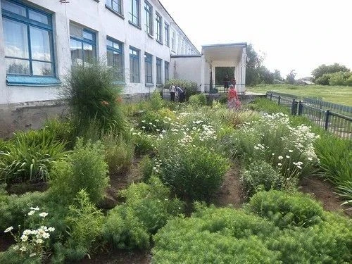 Сусловская СОШ филиал МКОУ "Островновская СОШ"