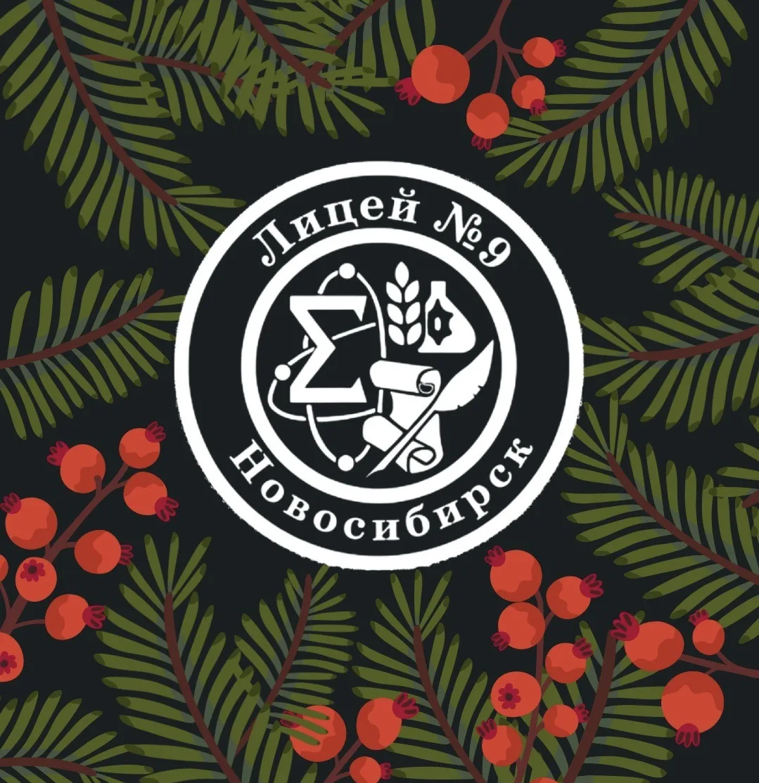 МАОУ "Лицей №9"